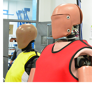 Obese and Elderly Test Dummies