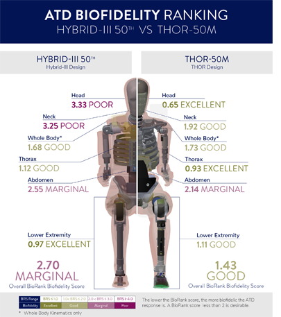 THOR-50M BioRank