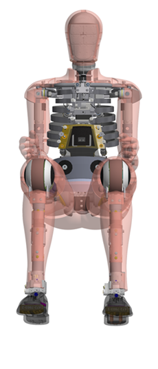 THOR-50M