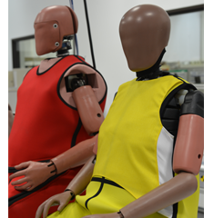 Vulnerable Test Dummies