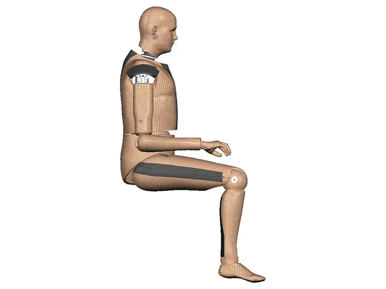 LARD FE model in Side view