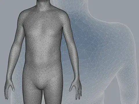 Body data solutions
