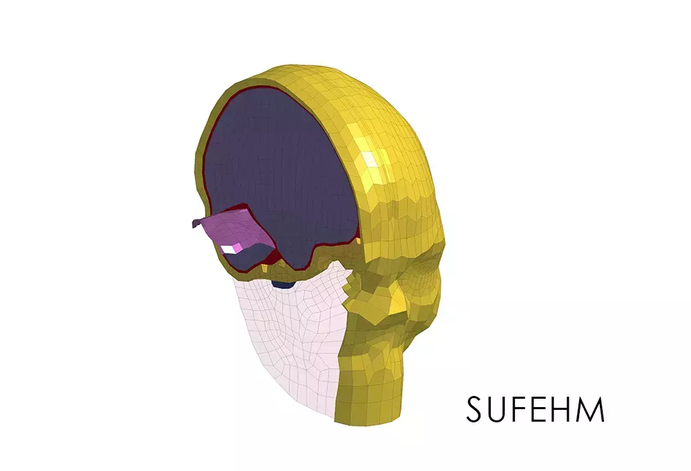 SUFEHM Headform Slice View with SUFEHM caption