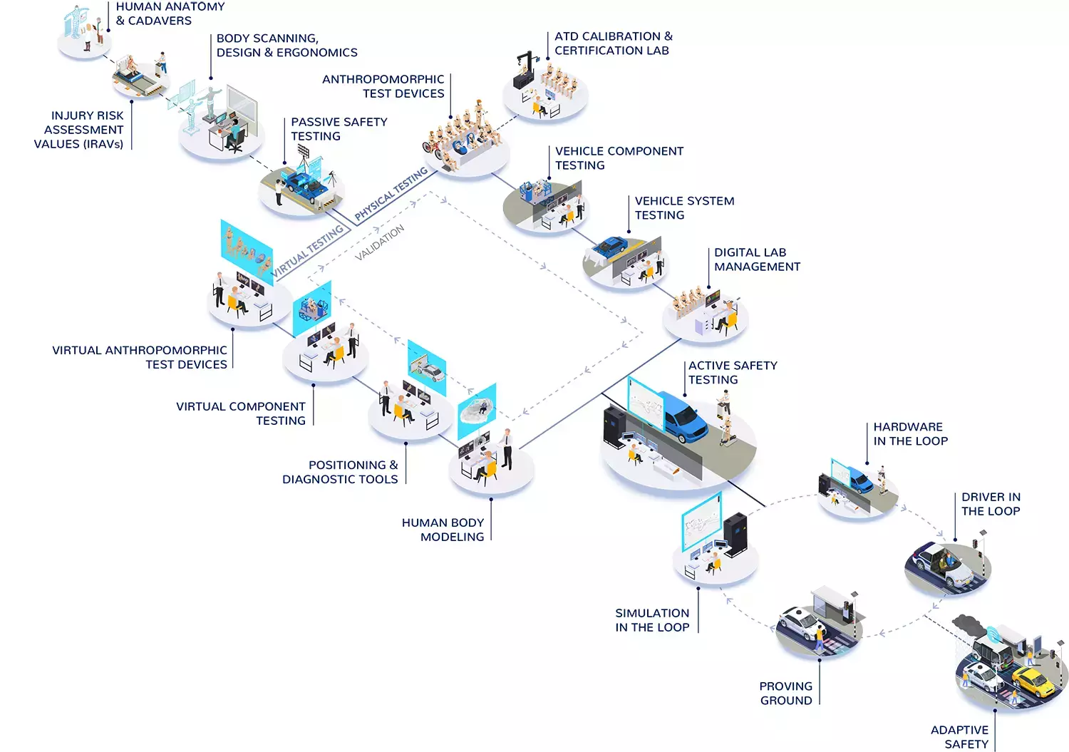 The Humanetics Ecosystem