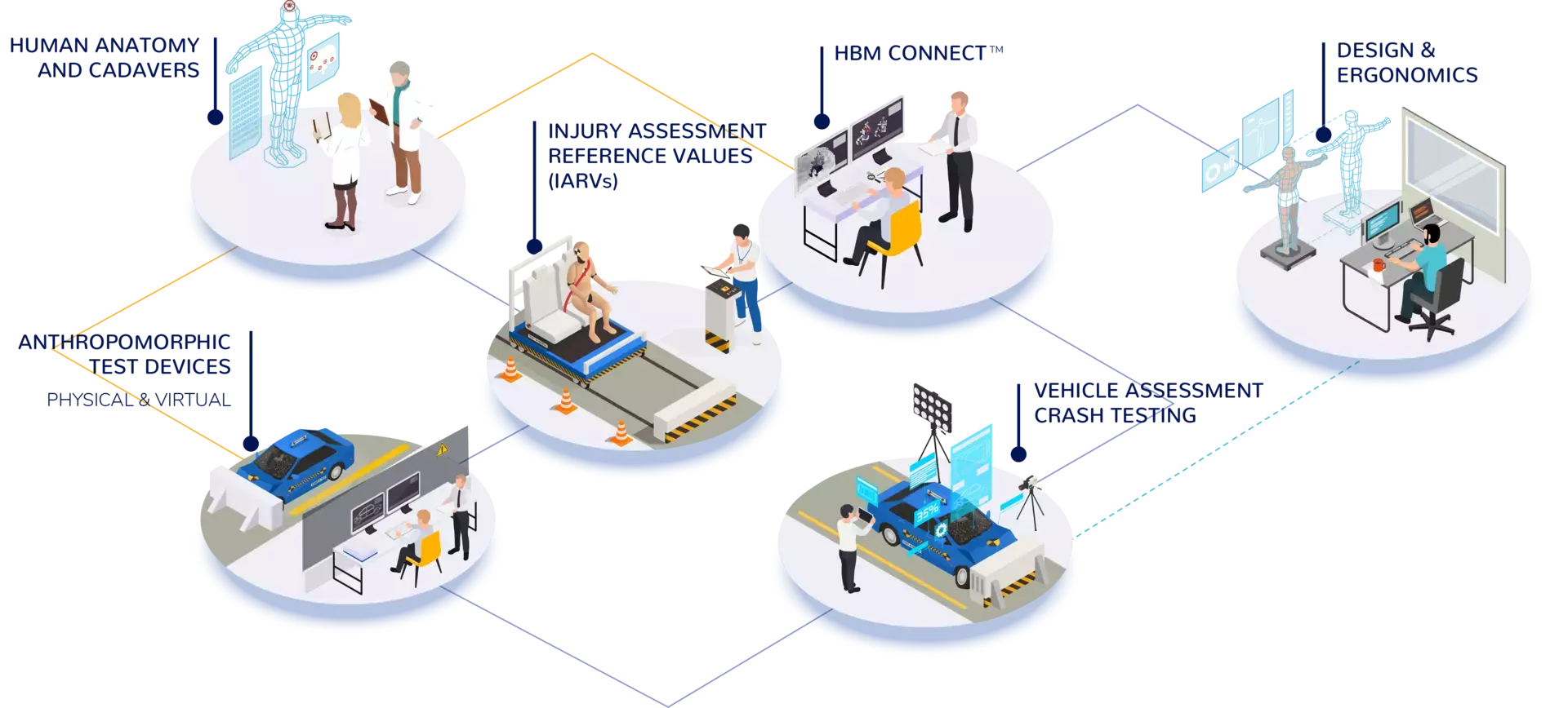 Human Body Model Ecosystem