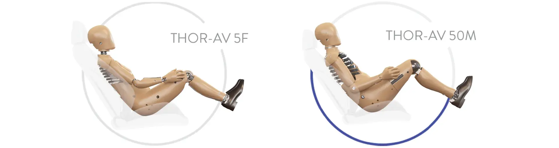 THOR-AV-5F and THOR-AV-50M