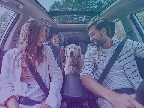 anthroscan_automotive_480x360.png